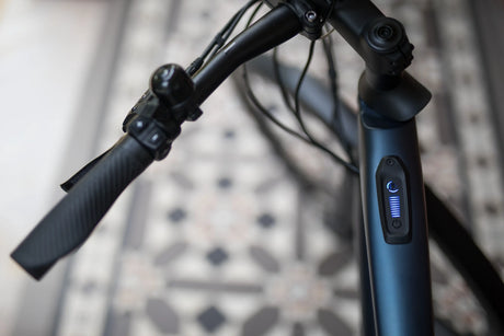 Electric Bike Health Benefits Explained