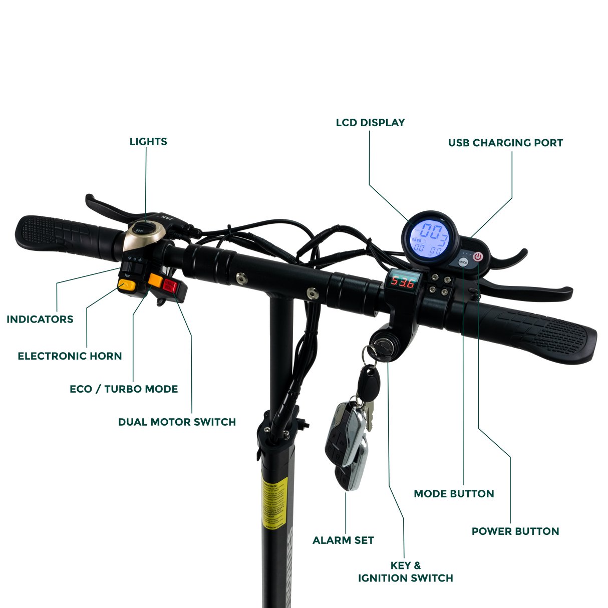 P1+ Electric Scooter | EnviroRides
