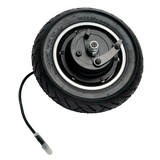 ECS 36V 500W Motor - EnviroRides